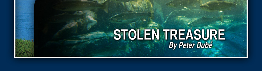 Stolen treasure book by Peter Dubé